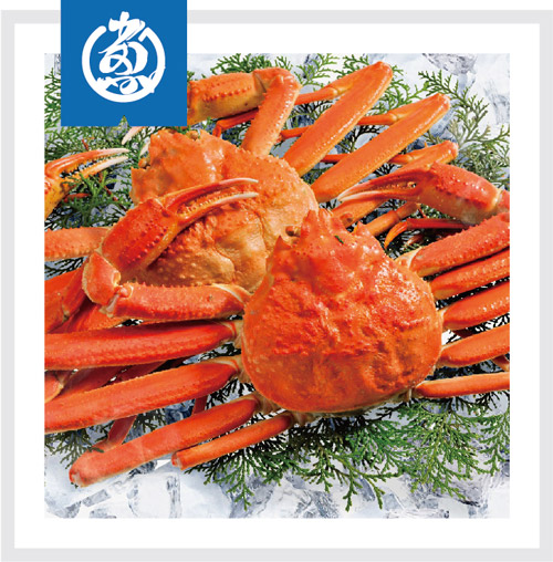 Snow Crab